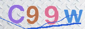 CAPTCHA 验证图片