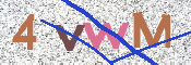 CAPTCHA 验证图片