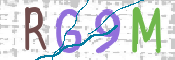 CAPTCHA 验证图片