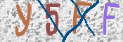 CAPTCHA 验证图片