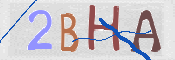 CAPTCHA 验证图片