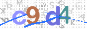 CAPTCHA 驗證圖片