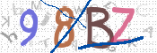 CAPTCHA 验证图片
