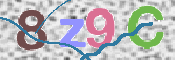 CAPTCHA 验证图片