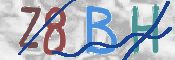 CAPTCHA 验证图片