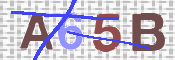 CAPTCHA 验证图片
