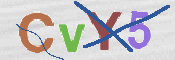 CAPTCHA 验证图片