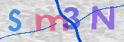 CAPTCHA 验证图片