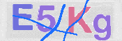 CAPTCHA 验证图片