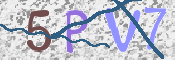 CAPTCHA 验证图片
