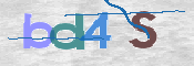CAPTCHA 验证图片