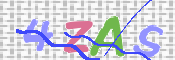 CAPTCHA 验证图片