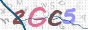 CAPTCHA 验证图片