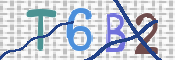CAPTCHA 验证图片